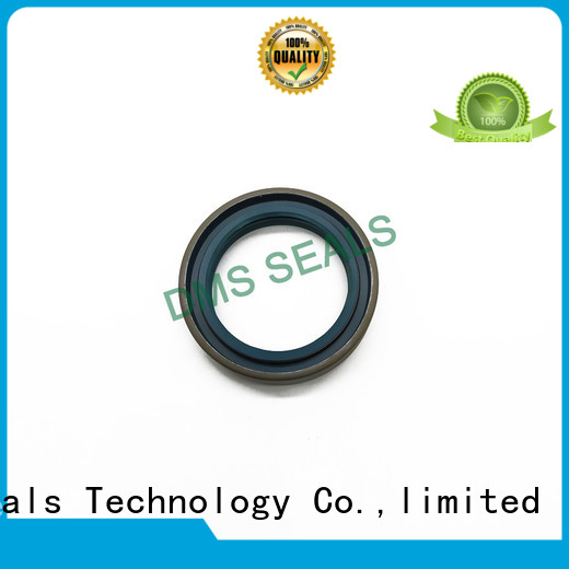 DMS Seal Manufacturer oil seal definition with integrated spring for housing