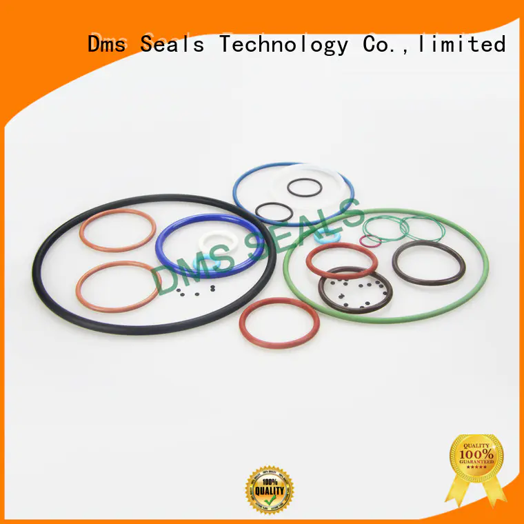 DMS Seal Manufacturer hydraulic o ring material manufacturers in highly aggressive chemical processing