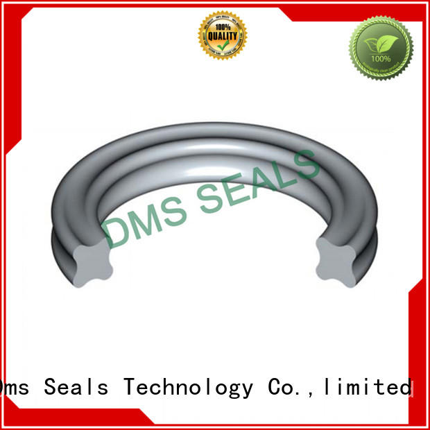 DMS Seal Manufacturer hydraulic wiper seals Suppliers in highly aggressive chemical processing