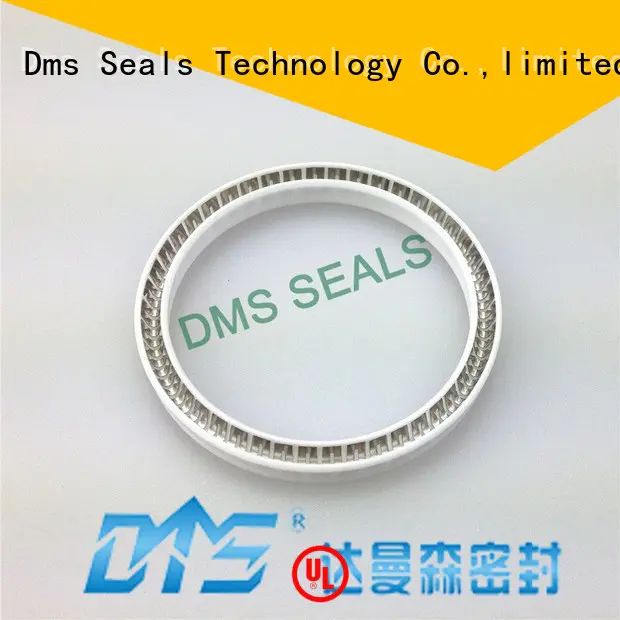 spring energized seals seal spring energized seals DMS Seal Manufacturer Brand