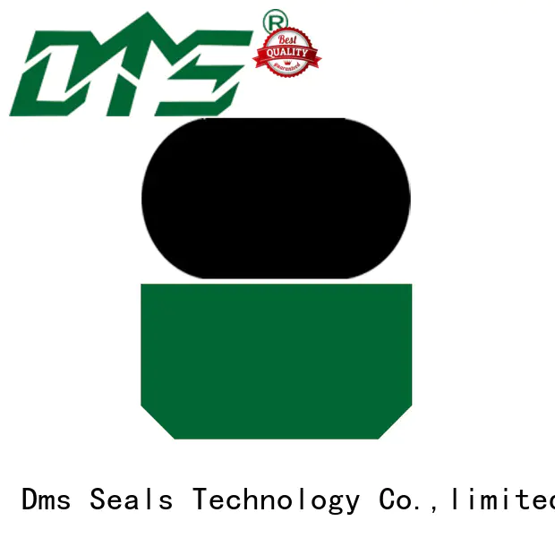 DMS Seal Manufacturer ptfe rod seal catalogue seal speed