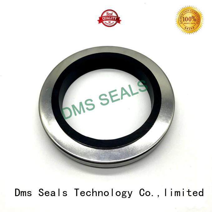 oil seal ring with low radial forces for sale DMS Seal Manufacturer