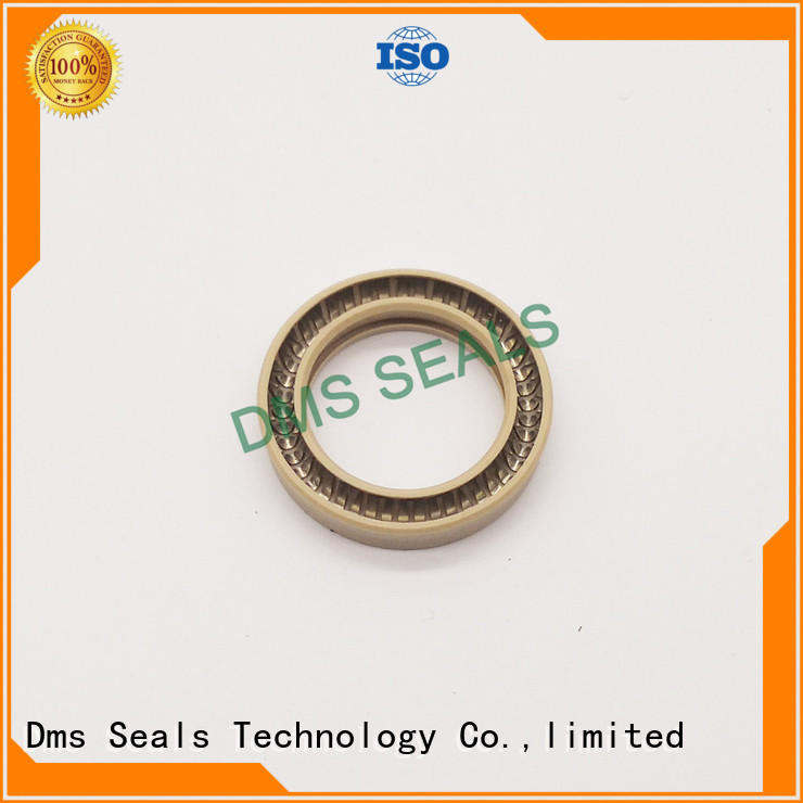 oring seal ptfe spring energized seals DMS Seal Manufacturer Brand