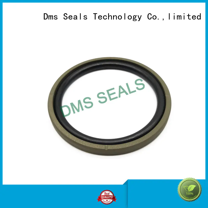 DMS Seal Manufacturer High-quality hydraulic pump oil seal manufacturers for light and medium hydraulic systems