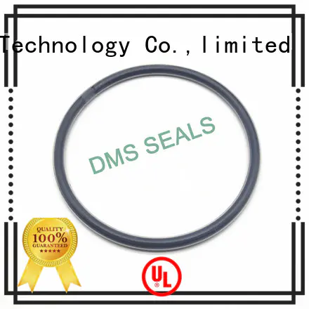 oring spring ptfe DMS Seal Manufacturer Brand oil seal ring factory
