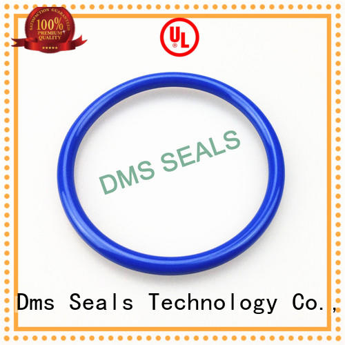 spring o-ring seal ptfe oring DMS Seal Manufacturer company