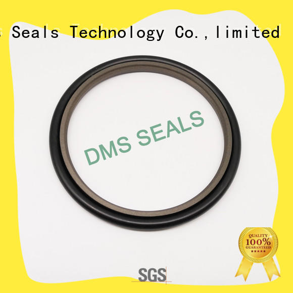 40% Bronze Filled PTFE Hydraulic Rod Seal