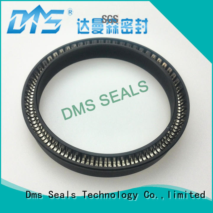 spring spring seals seals single acting seal DMS Seal Manufacturer