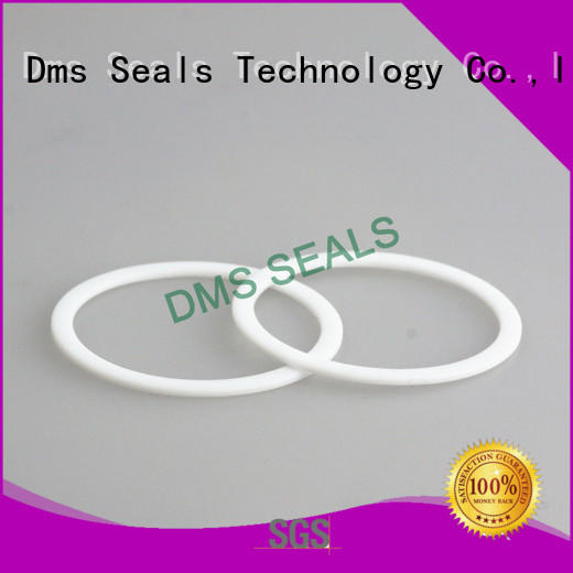 DMS Seal Manufacturer flat ptfe gasket seals for liquefied gas
