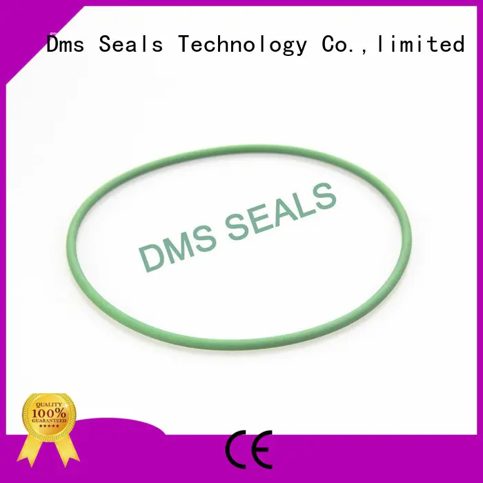 hydraulic ptfe oil seal ring DMS Seal Manufacturer Brand