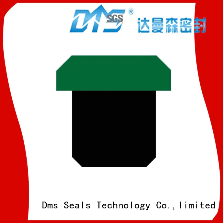 Quality DMS Seal Manufacturer Brand pneumatic piston seals piston