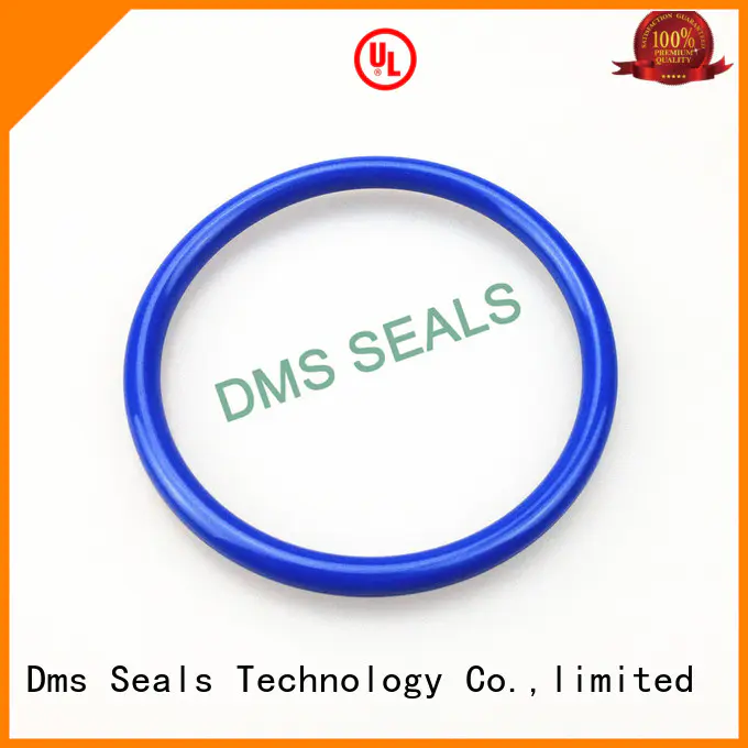 DMS Seal Manufacturer pfa o ring kit manufacturer professional in highly aggressive chemical processing