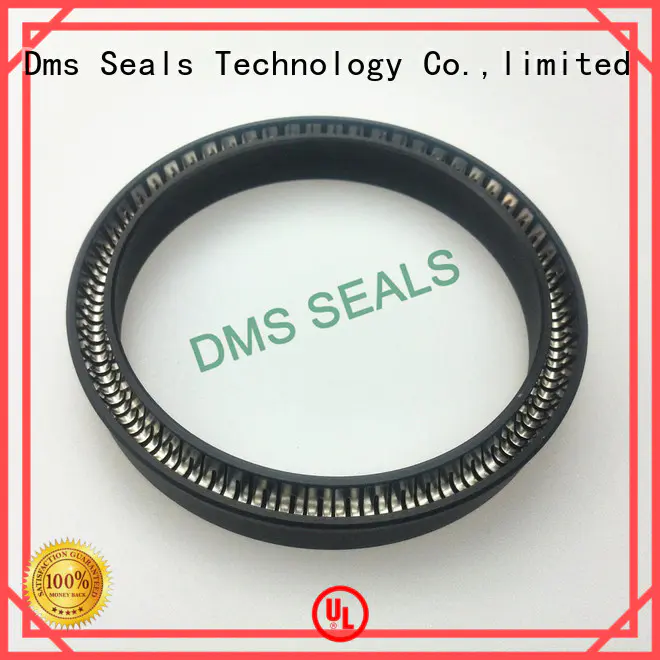 DMS Seal Manufacturer Brand hydraulic seal custom spring energized seals