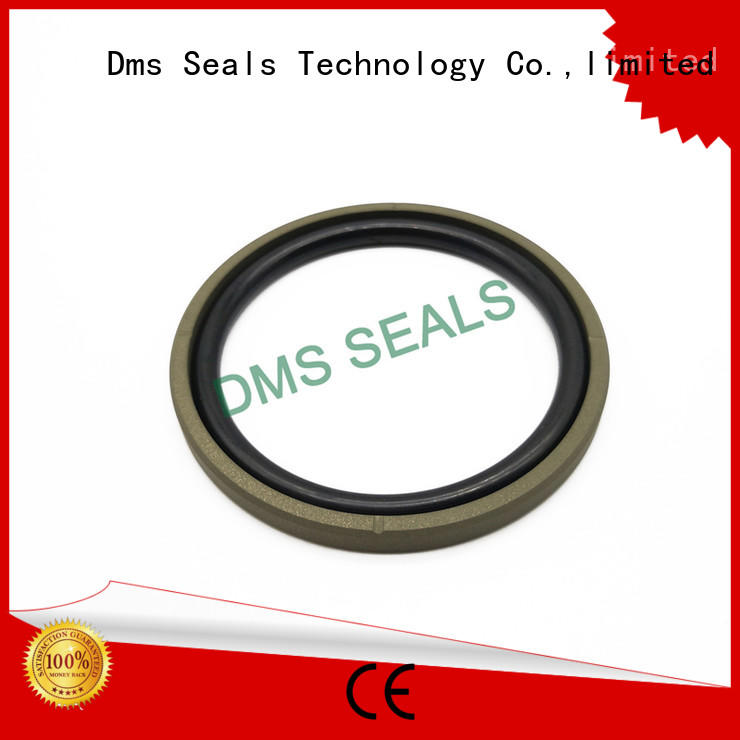 DMS Seal Manufacturer Custom piston seals manufacturers for light and medium hydraulic systems