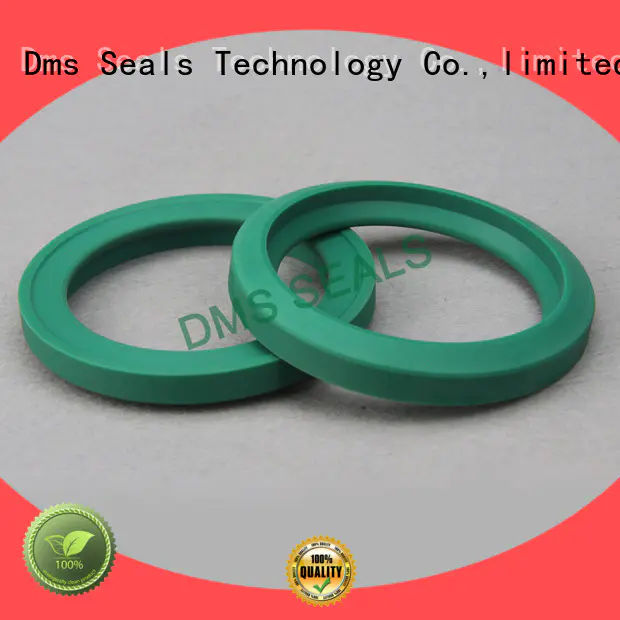 DMS Seal Manufacturer compact piston seals o ring for piston and hydraulic cylinder