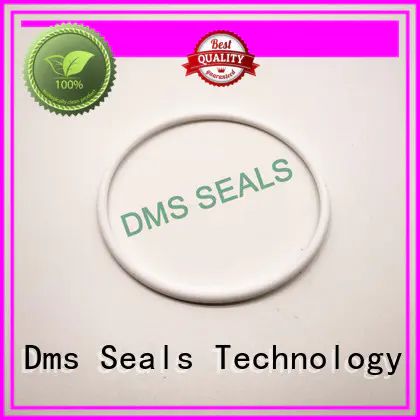 oring seal spring ptfe oil seal ring DMS Seal Manufacturer Brand