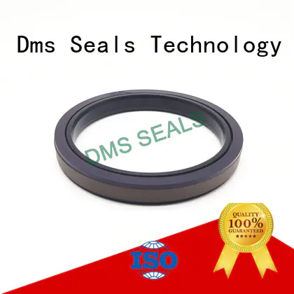 DMS Seal Manufacturer bronze hydraulic oil seal glyd for piston and hydraulic cylinder