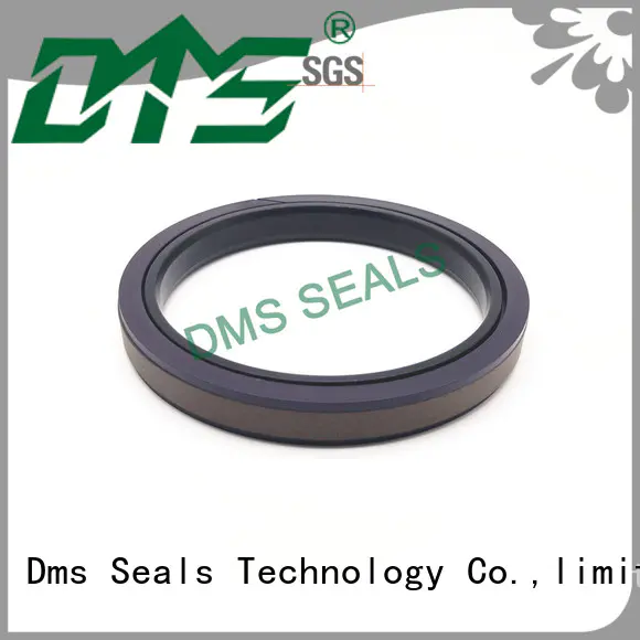 DMS Seal Manufacturer ptfe mechanical seal pump price o ring