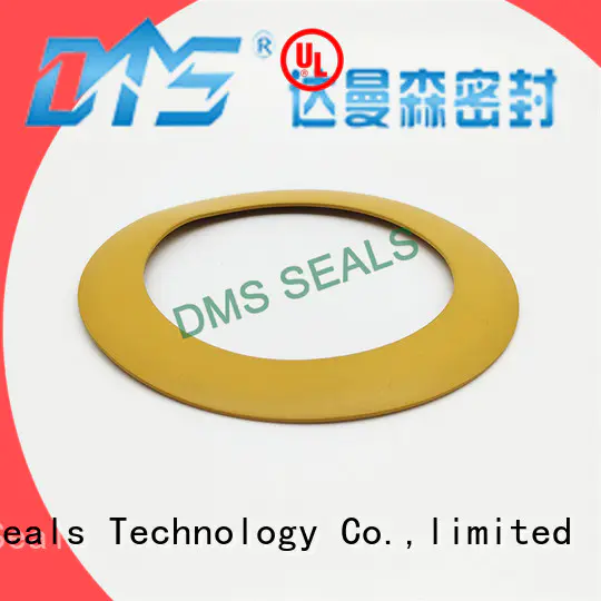 DMS Seal Manufacturer custom gaskets torque for liquefied gas