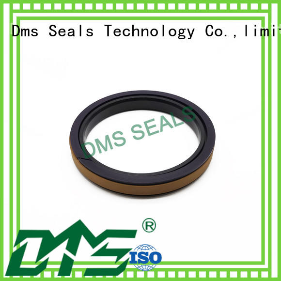 DMS Seal Manufacturer combined piston seals glyd ring for sale