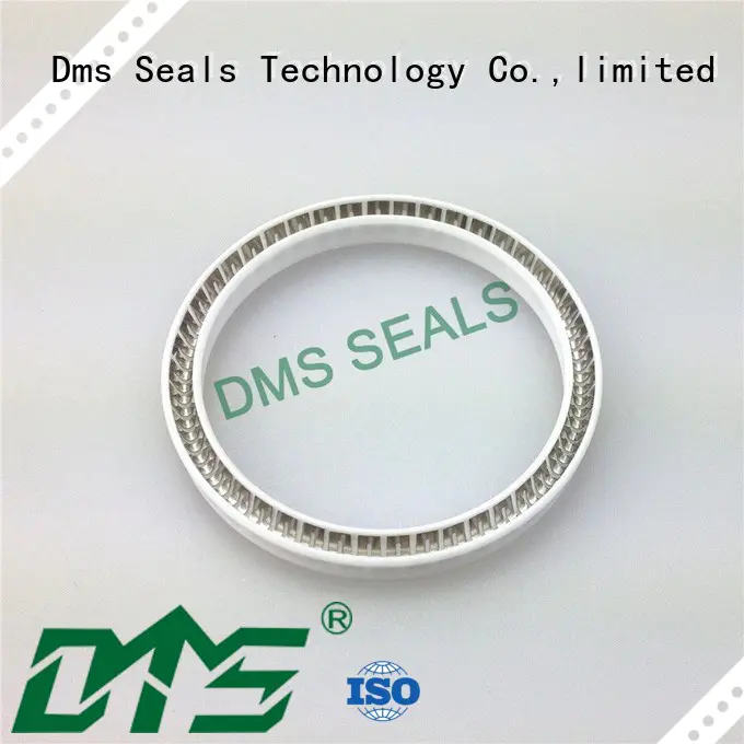 DMS Seal Manufacturer food and medicine industry spring energized seals parts for reciprocating piston rod or piston single acting seal
