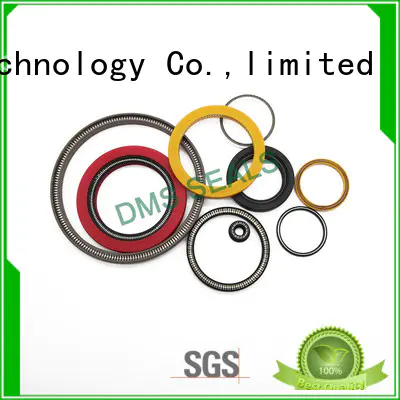 DMS Seal Manufacturer Best sic mechanical seal factory for aviation