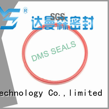 pfa o ring seal supplier online for static sealing DMS Seal Manufacturer