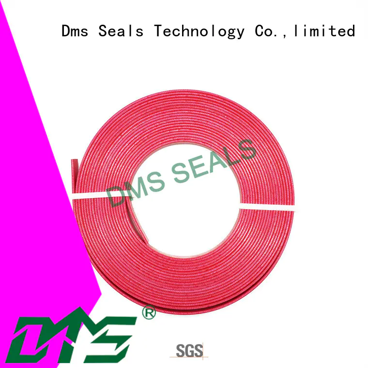 DMS Seal Manufacturer Custom rubber seal design guide strip for sale