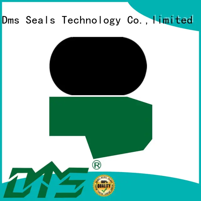 nbrfkm ptfe hydraulic rod seals oring DMS Seal Manufacturer Brand