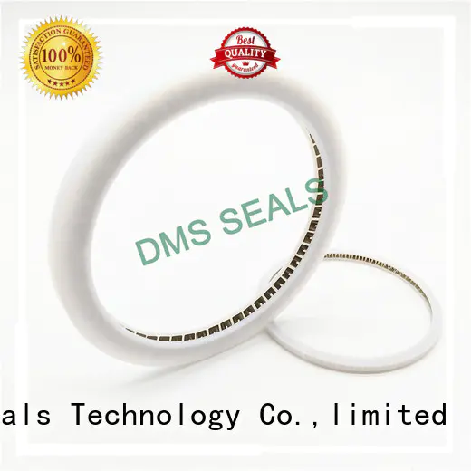 DMS Seal Manufacturer New rod end seals Supply for reciprocating piston rod or piston single acting seal