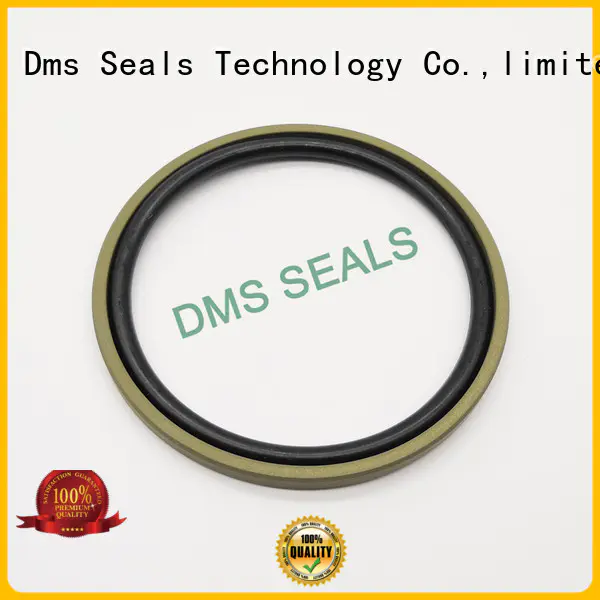 DMS Seal Manufacturer o ring seal manufacturers glyd ring