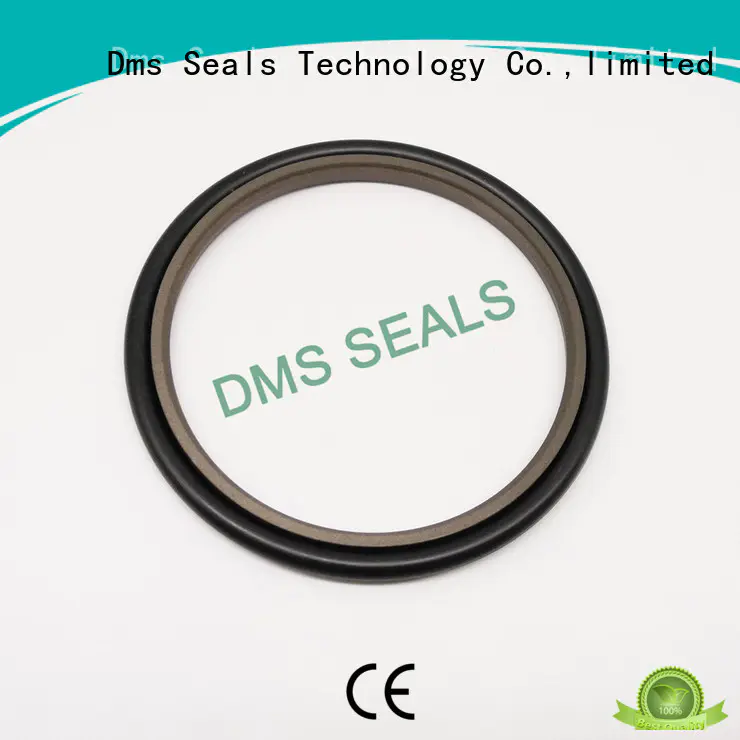 DMS Seal Manufacturer compact piston o ring