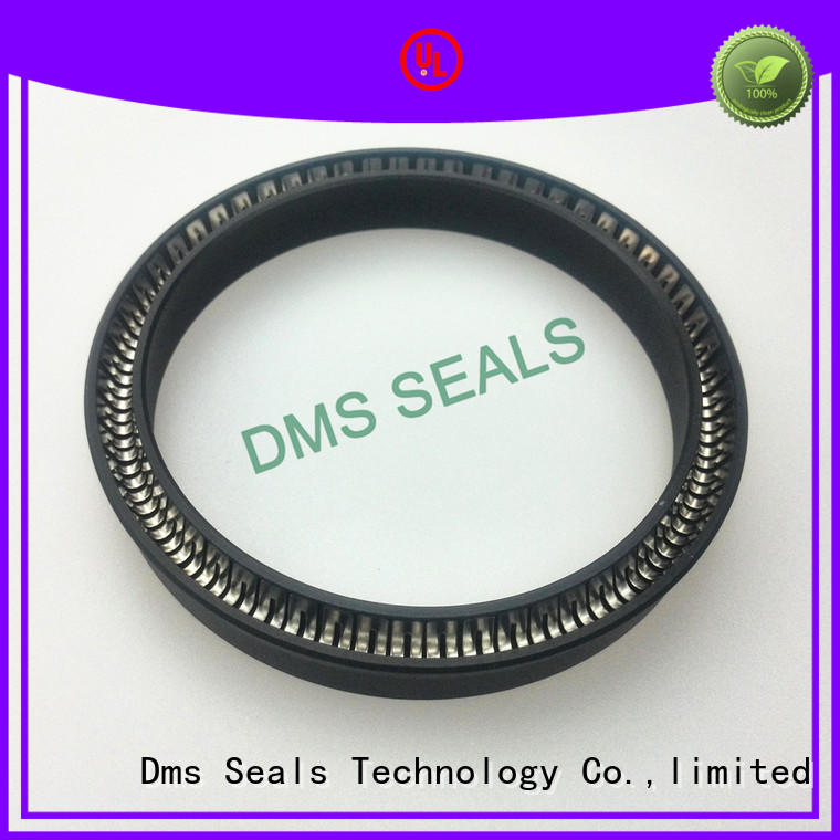 DMS Seal Manufacturer spring energized seals parts for reciprocating piston rod or piston single acting seal
