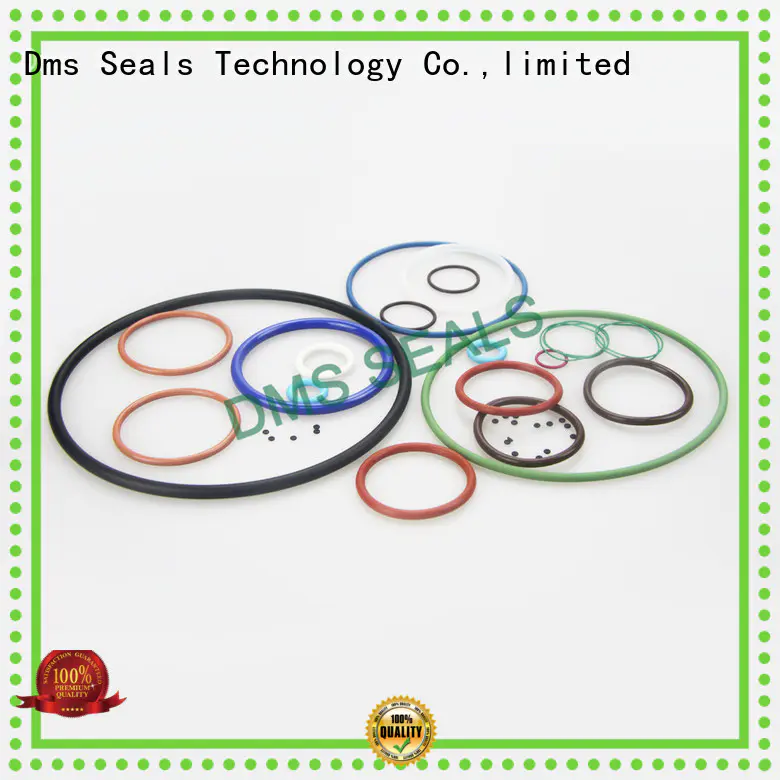 DMS Seal Manufacturer High-quality viton rubber o rings factory in highly aggressive chemical processing