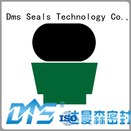 DMS Seal Manufacturer cylinder rod seal factory to high and low speed