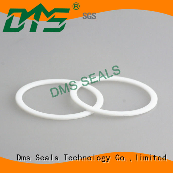 DMS Seal Manufacturer elastomeric gasket material for preventing the seal from being squeezed
