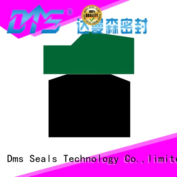 DMS Seal Manufacturer Wholesale hydraulic rubber seal for pneumatic equipment