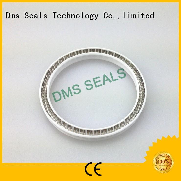 hydraulic oring spring energized seals spring DMS Seal Manufacturer company