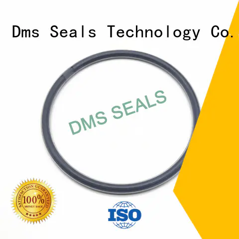 DMS Seal Manufacturer Brand ptfe spring seal hydraulic o-ring seal