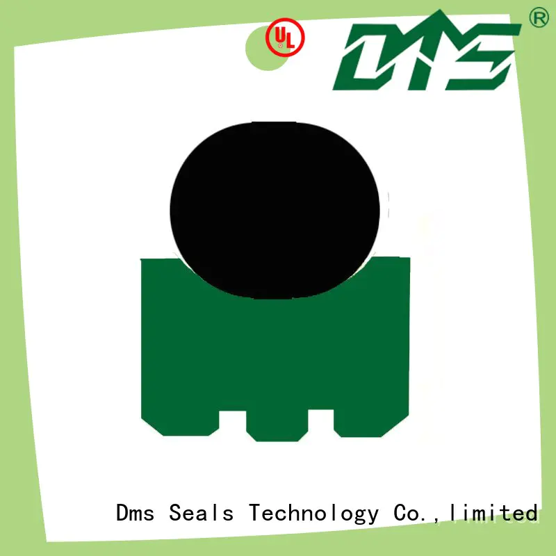 DMS Seal Manufacturer high temperature shaft seal company for construction machinery