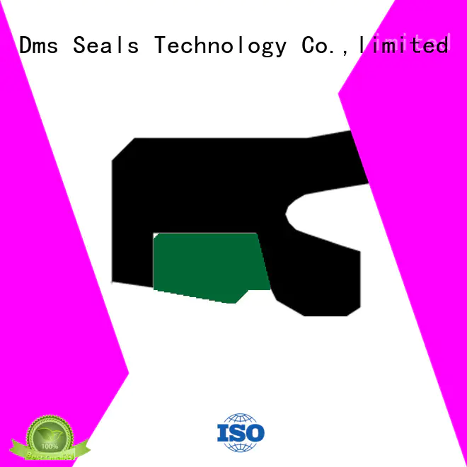 DMS Seal Manufacturer step rod seals rod reciprocating