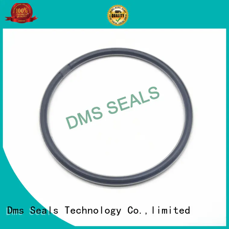 oil seal ring ptfe oring spring o-ring seal manufacture