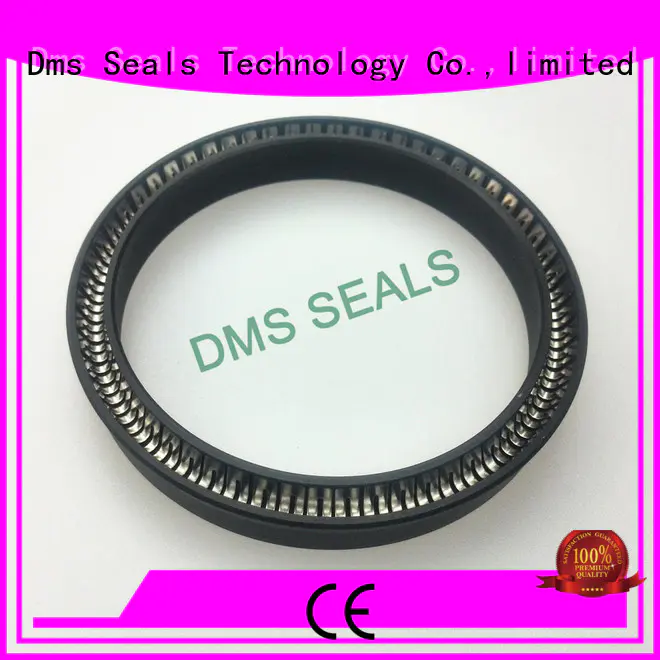 DMS Seal Manufacturer spring loaded seal for business for reciprocating piston rod or piston single acting seal