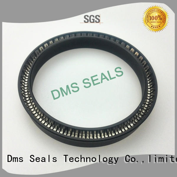 ptfe spring energized seals parts for reciprocating piston rod or piston single acting seal