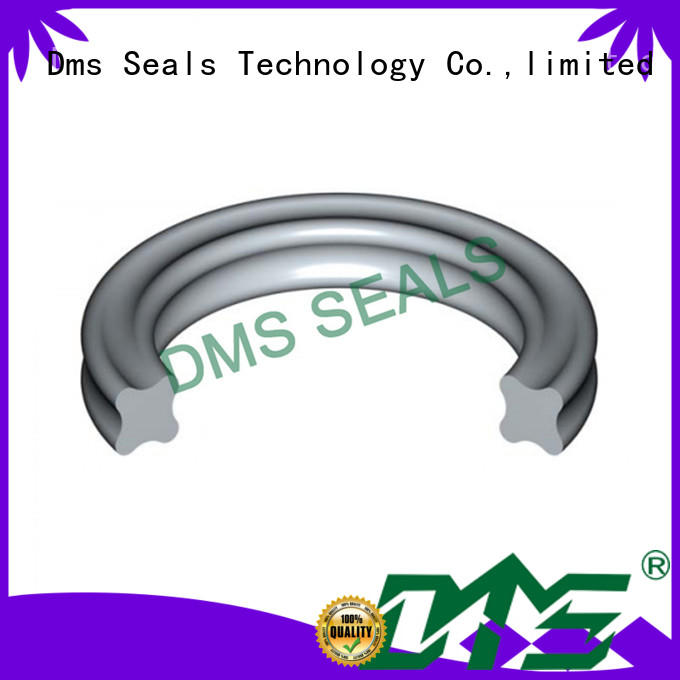 DMS Seal Manufacturer pfa O Ring Manufacturer in highly aggressive chemical processing