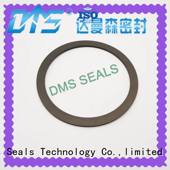 custom viton gasket hot sale for preventing the seal from being squeezed DMS Seal Manufacturer