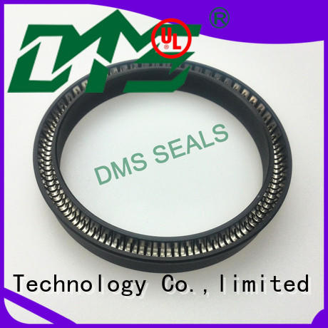 DMS Seal Manufacturer spring seals solutions for reciprocating piston rod or piston single acting seal