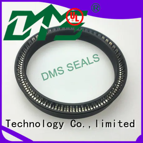DMS Seal Manufacturer spring seals solutions for reciprocating piston rod or piston single acting seal