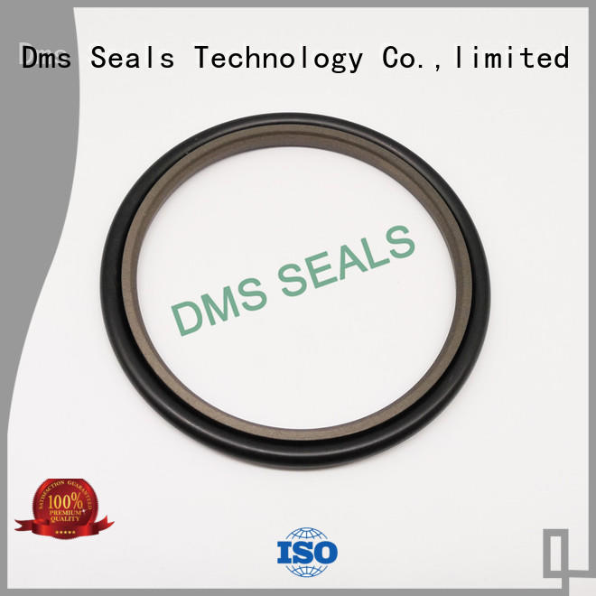 hydraulic cylinder piston seals for larger piston clearance DMS Seal Manufacturer