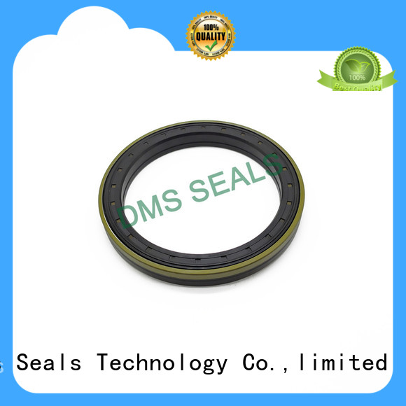 DMS Seal Manufacturer high quality r21 oil seal with integrated spring for housing